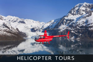 HELICOPTER TOURS