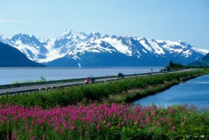 Alaska, Turnagain Arm. Seward highway and Chugach mountains with Fireweed.