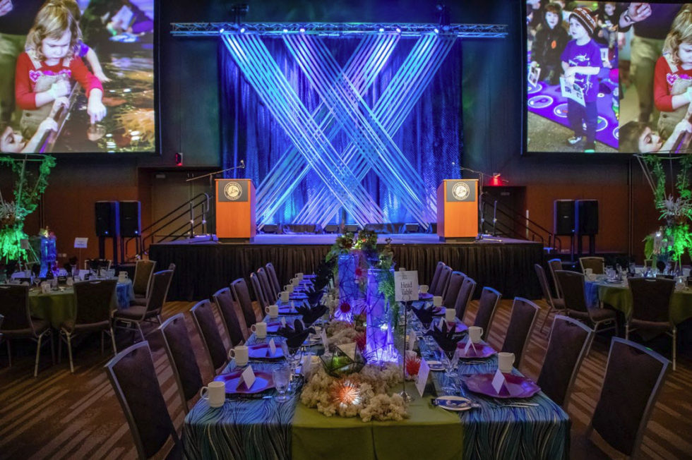 What We Do Alaska Destination Specialists